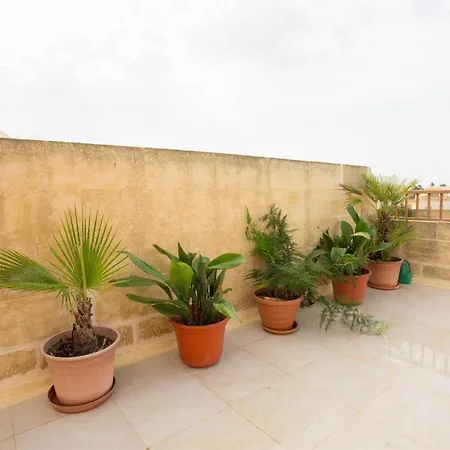 Miki's House Gozo Homestay *